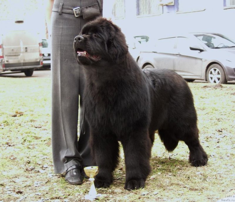 Фотография № 179604