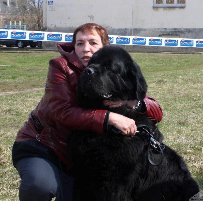 Фотография № 179627