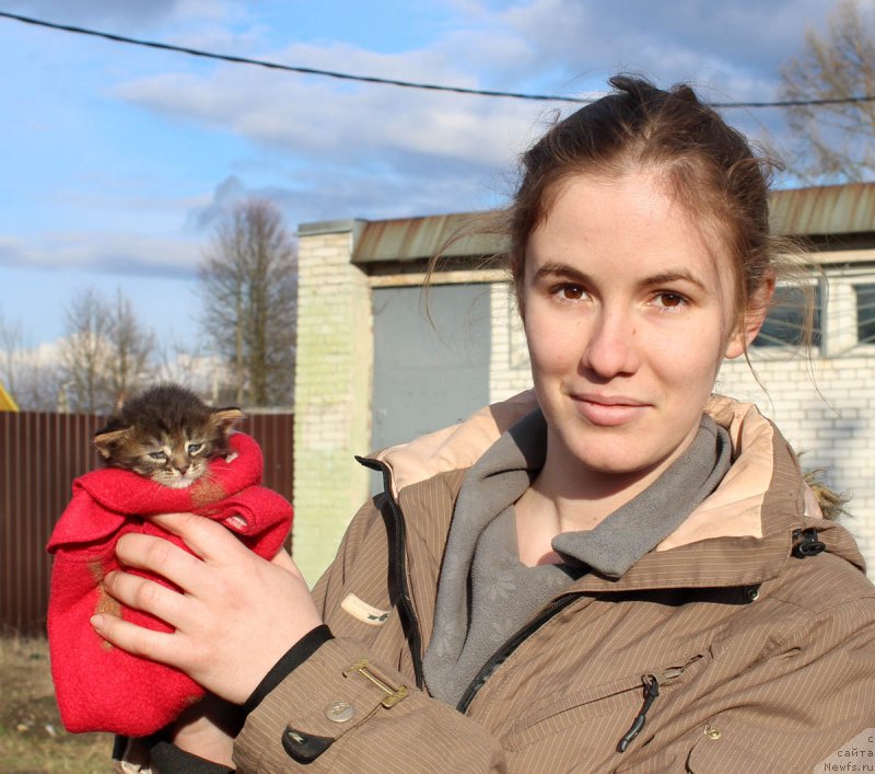 Фотография № 179637