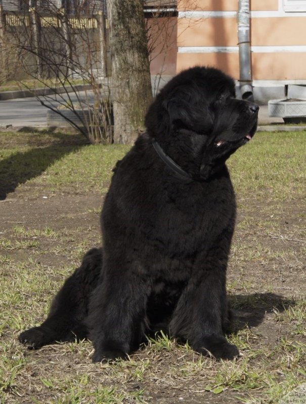 Фотография № 179643