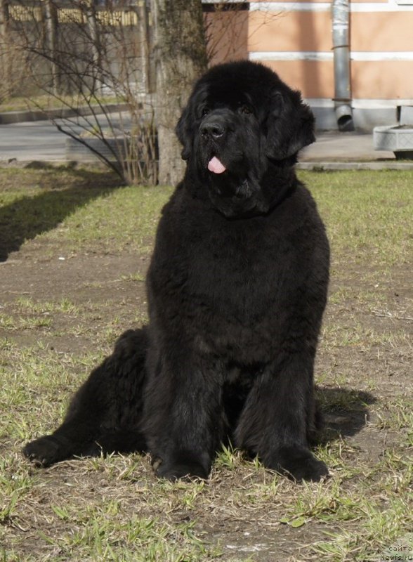 Фотография № 179644