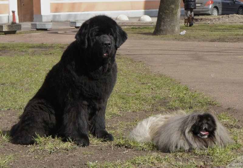 Фотография № 179645