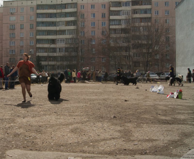 Фотография № 179654