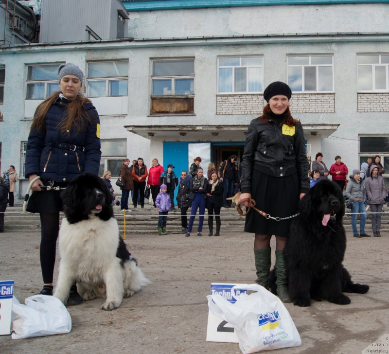 Фотография № 179656