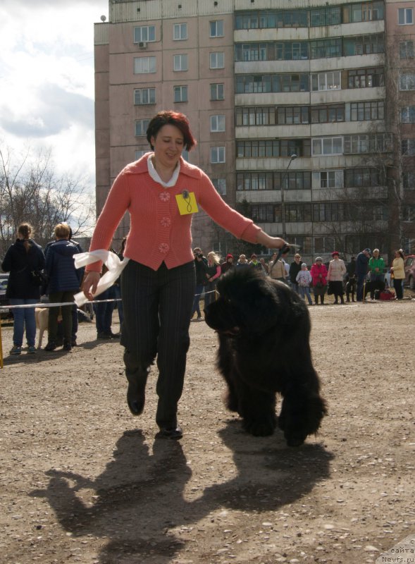 Фотография № 179657