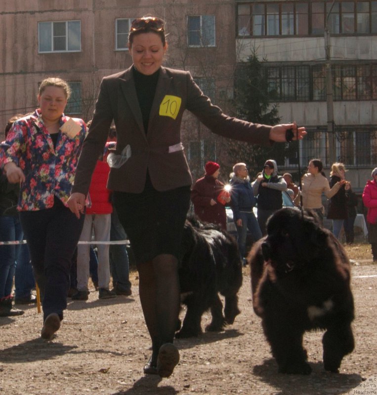 Фотография № 179662