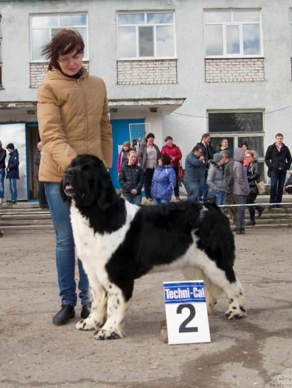 Фотография № 179668