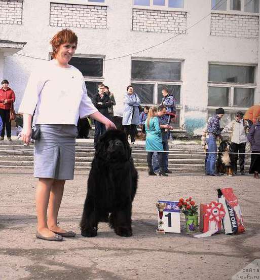 Фотография № 179727