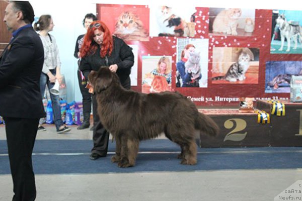 Фотография № 179737