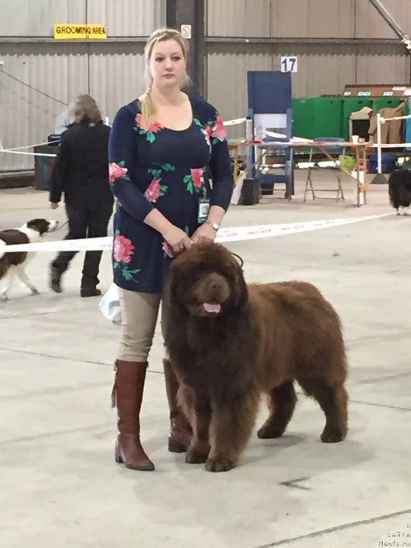 Фотография № 179739