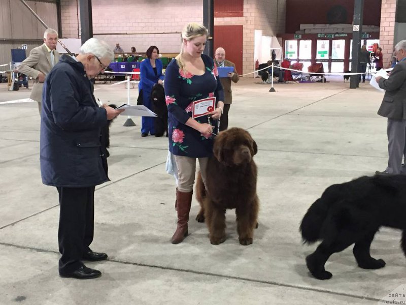 Фотография № 179740