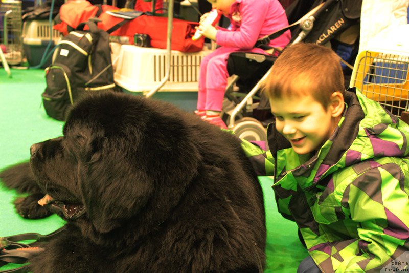 Фотография № 179744