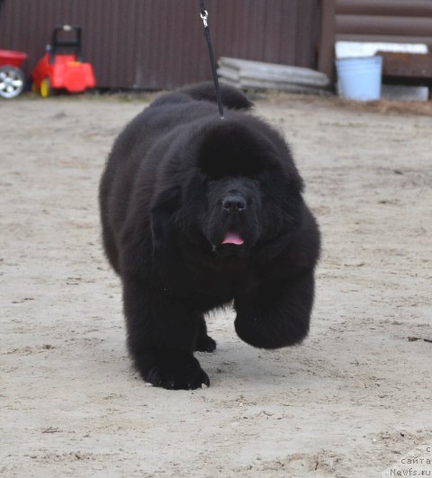 Фотография № 179788