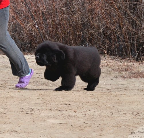 Фотография № 179789