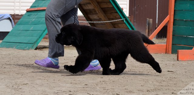 Фотография № 179790