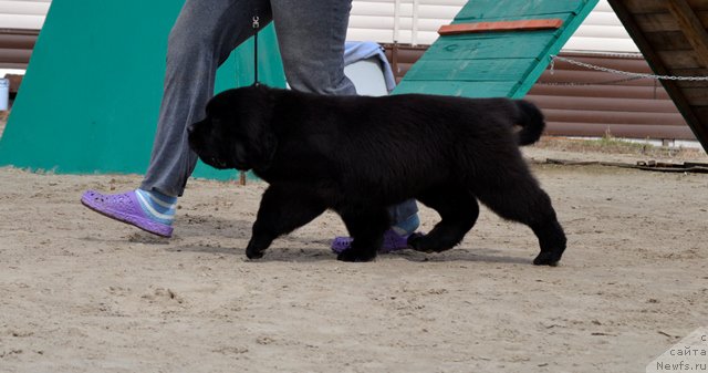 Фотография № 179791