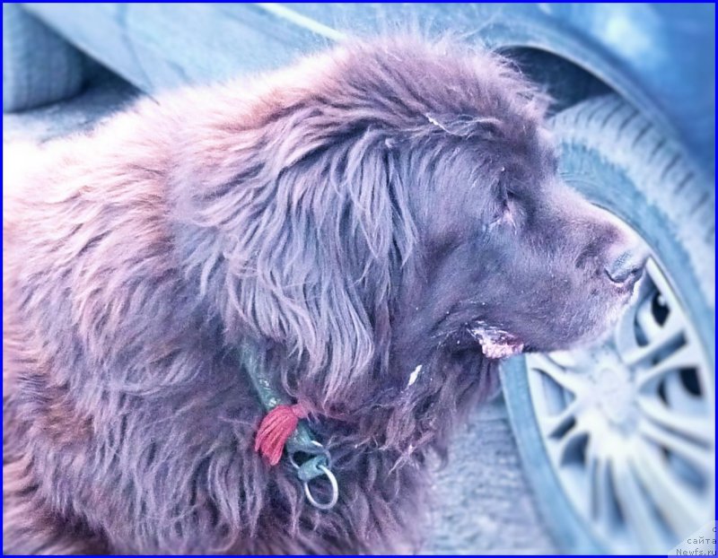 Фотография № 179798