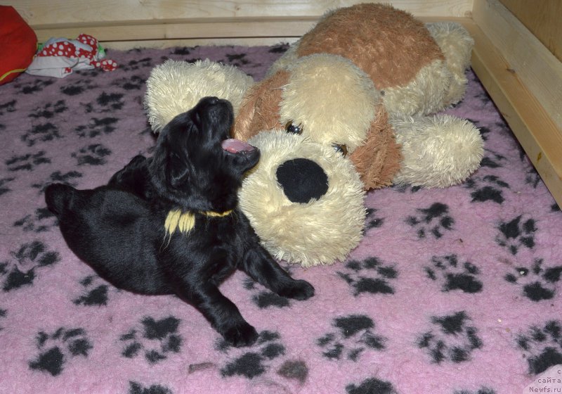 Фотография № 179814