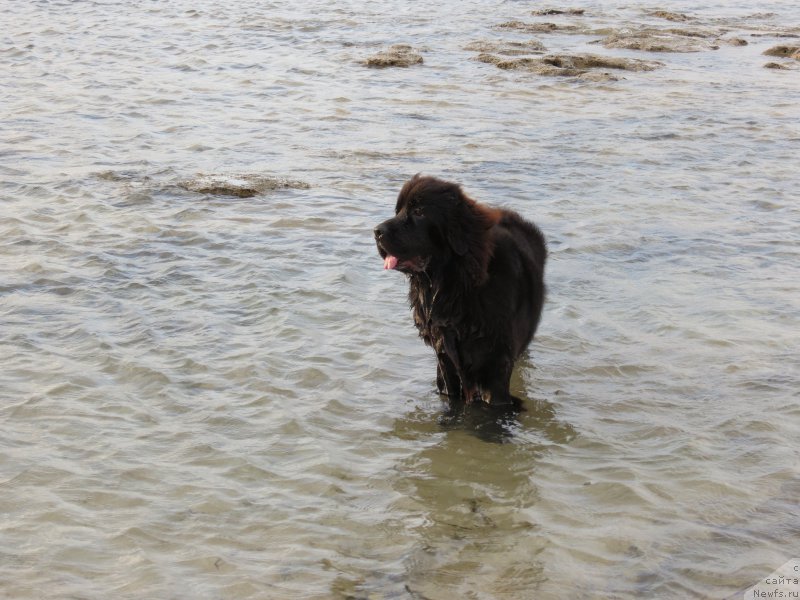 Фотография № 179824