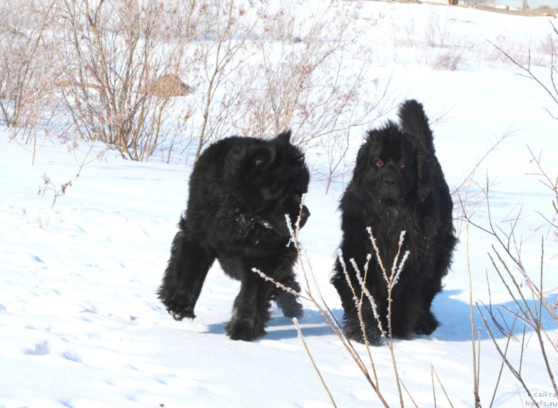 Фотография № 179889