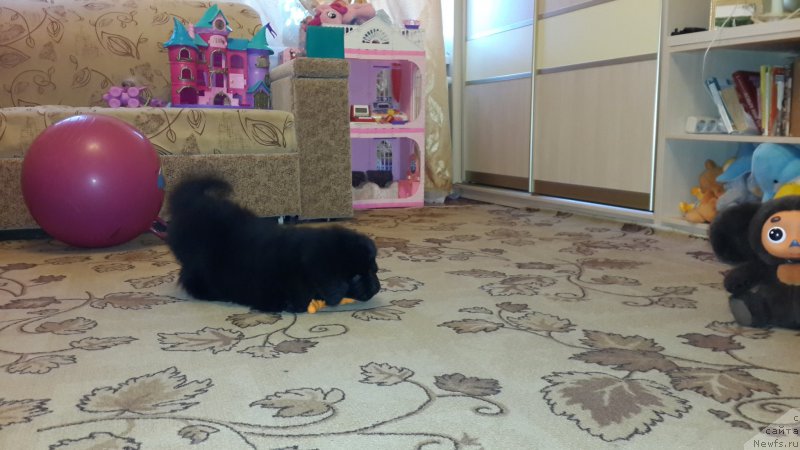 Фотография № 179896