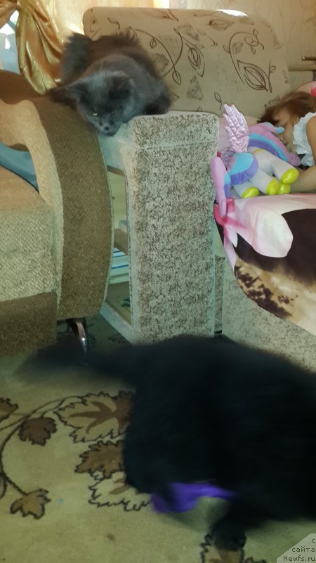 Фотография № 179914