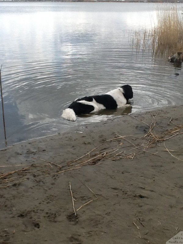 Фотография № 179919