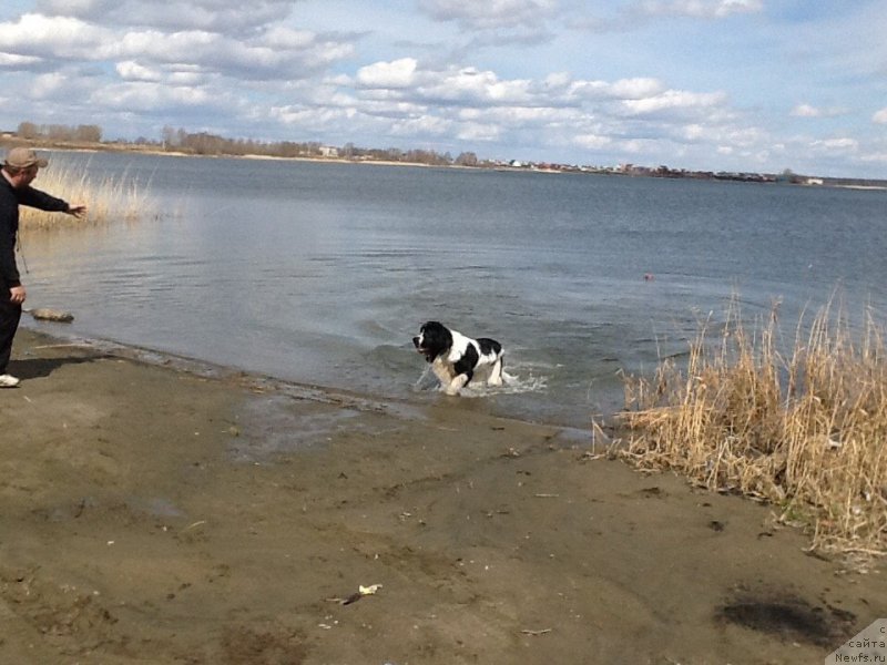 Фотография № 179920