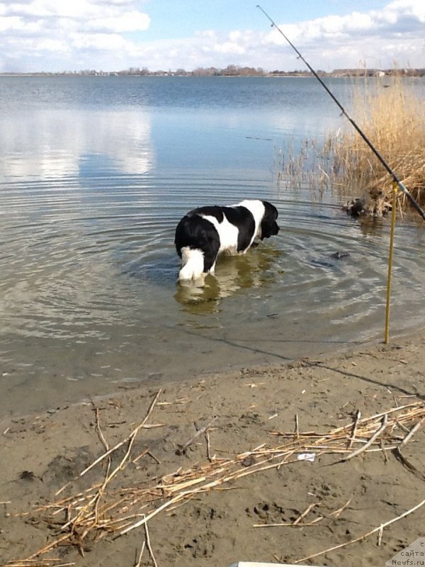 Фотография № 179921