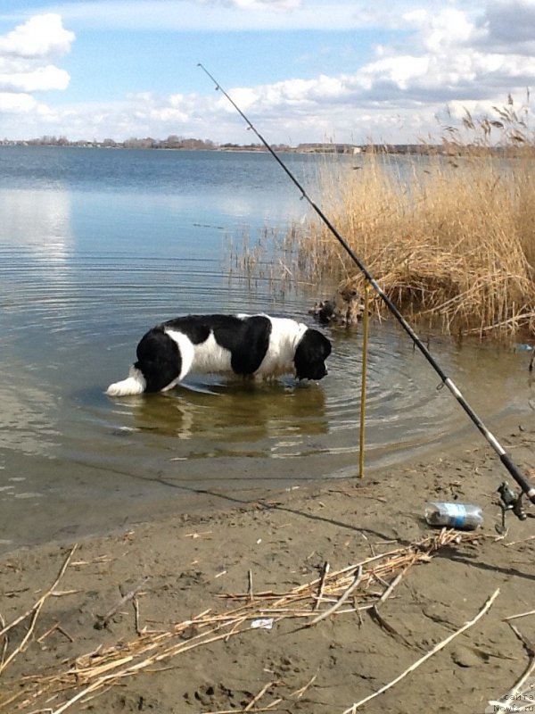 Фотография № 179922