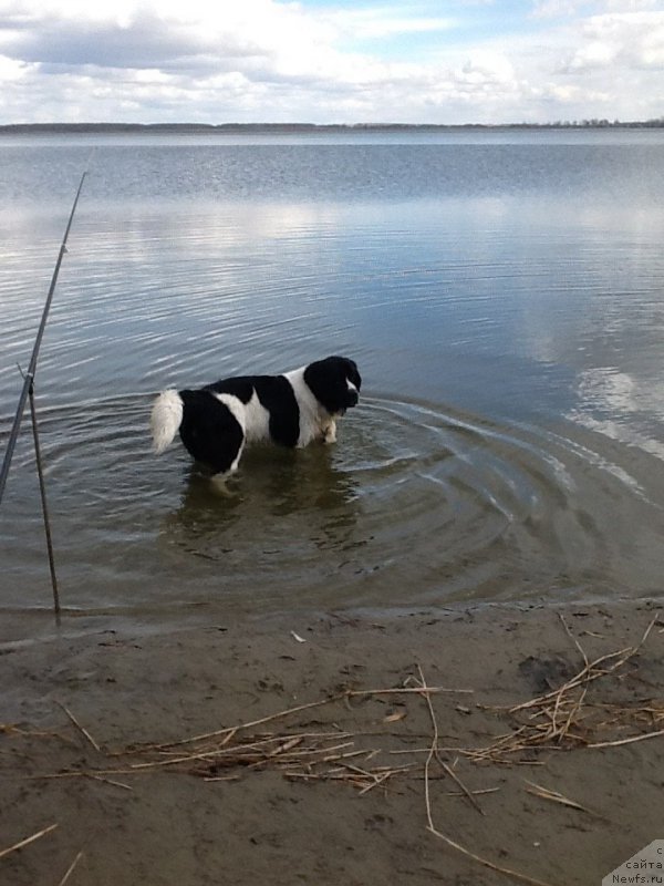 Фотография № 179923