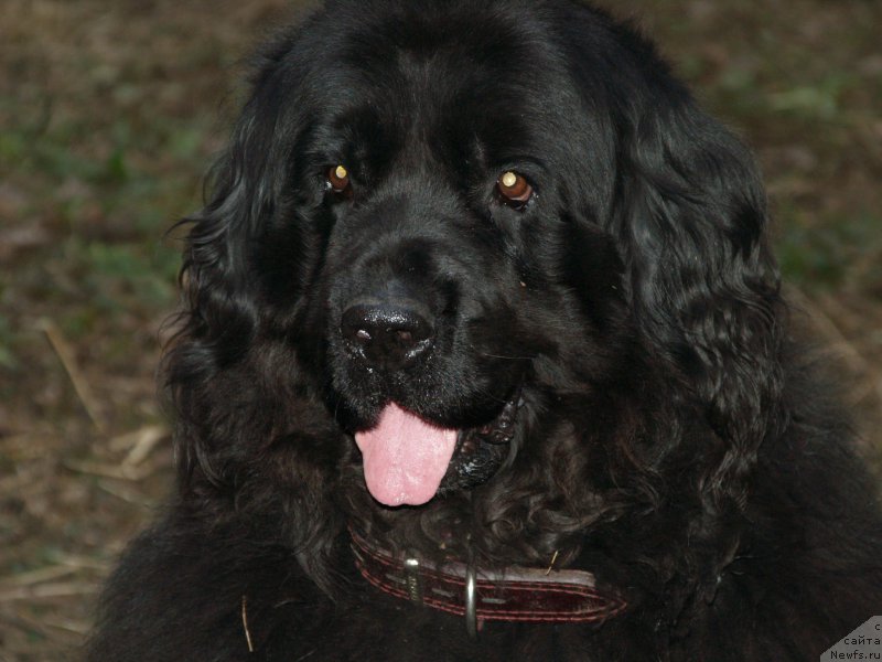 Фотография № 179935