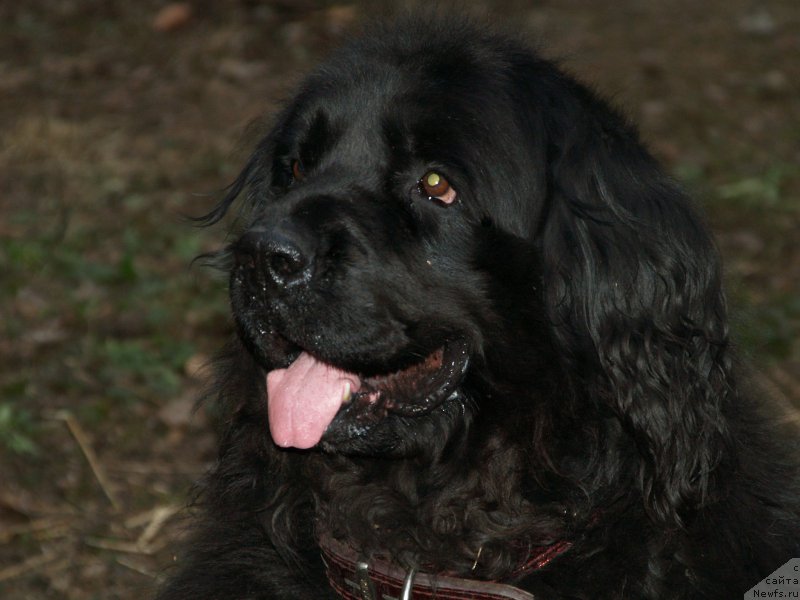 Фотография № 179936