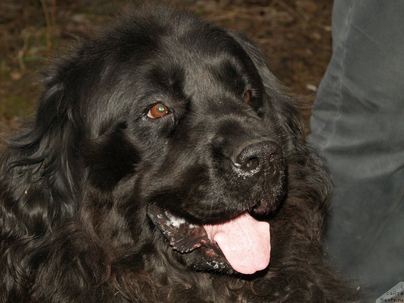 Фотография № 179937