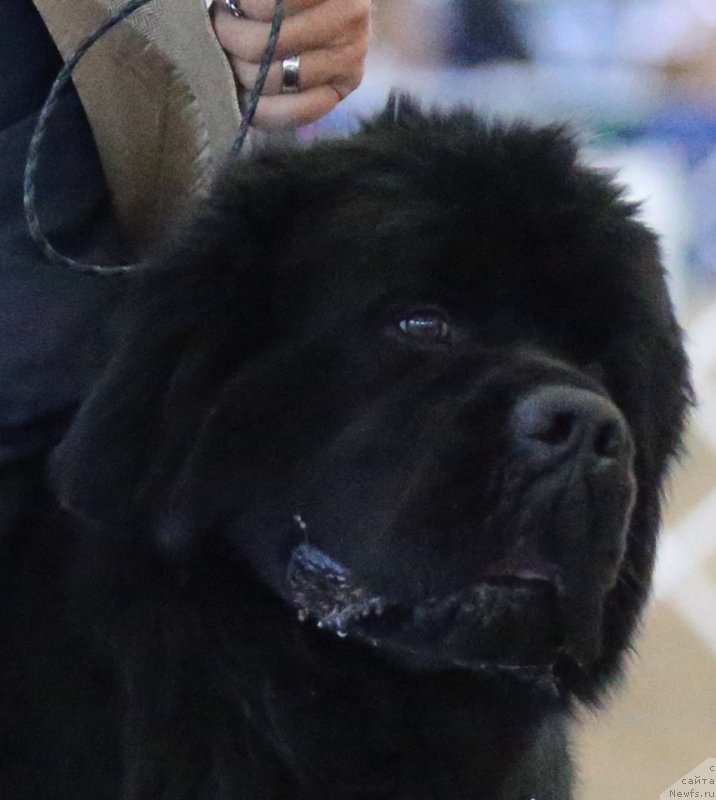 Фотография № 179949