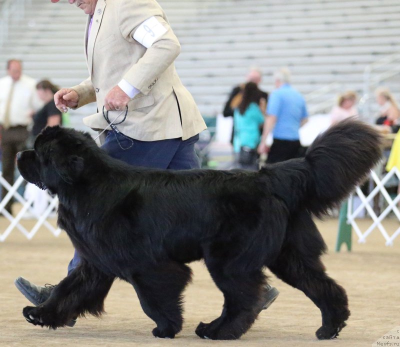 Фотография № 179950