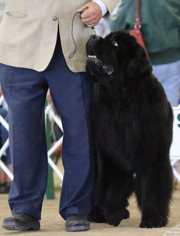 Фотография № 179951