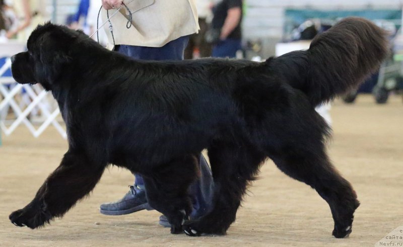 Фотография № 179957