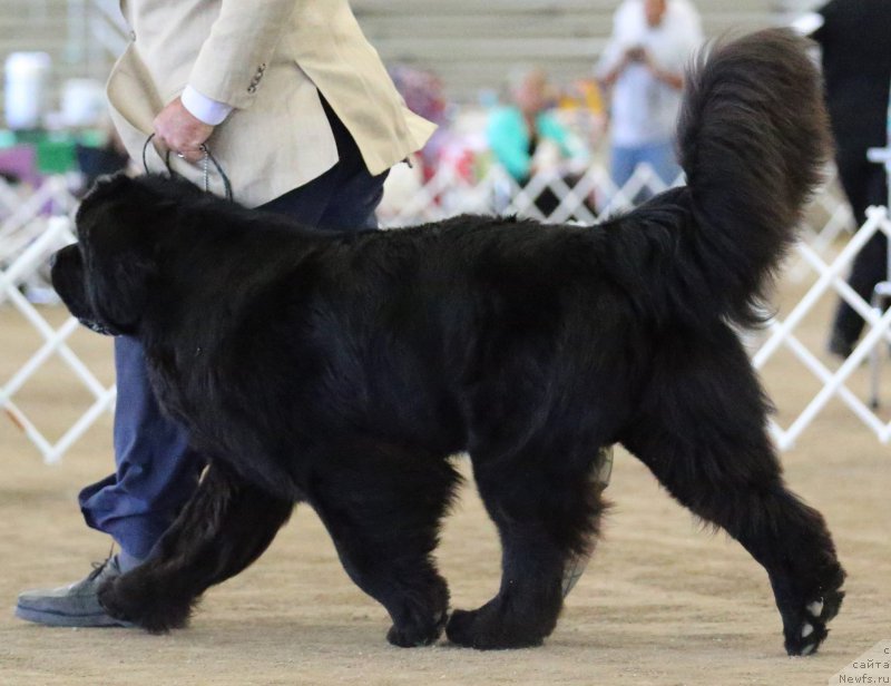 Фотография № 179958