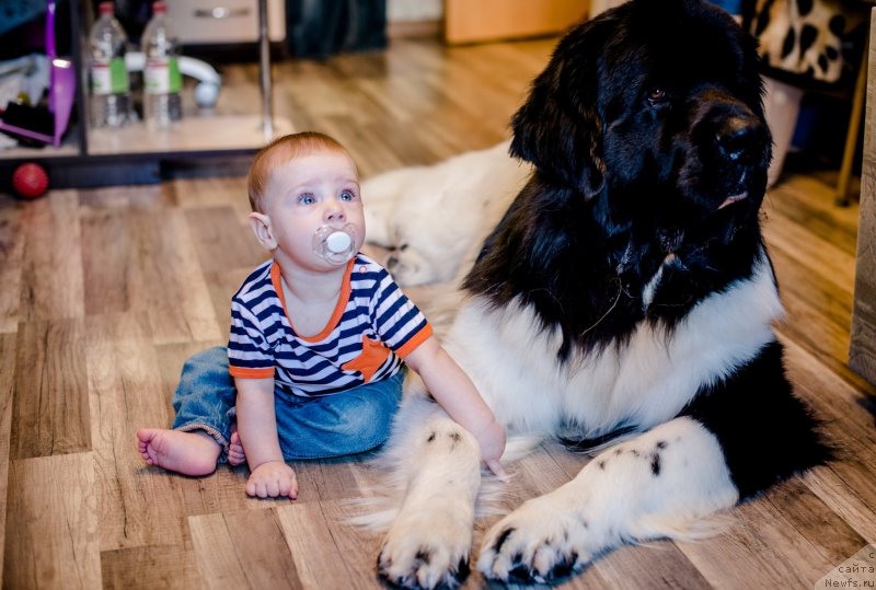 Фотография № 179962