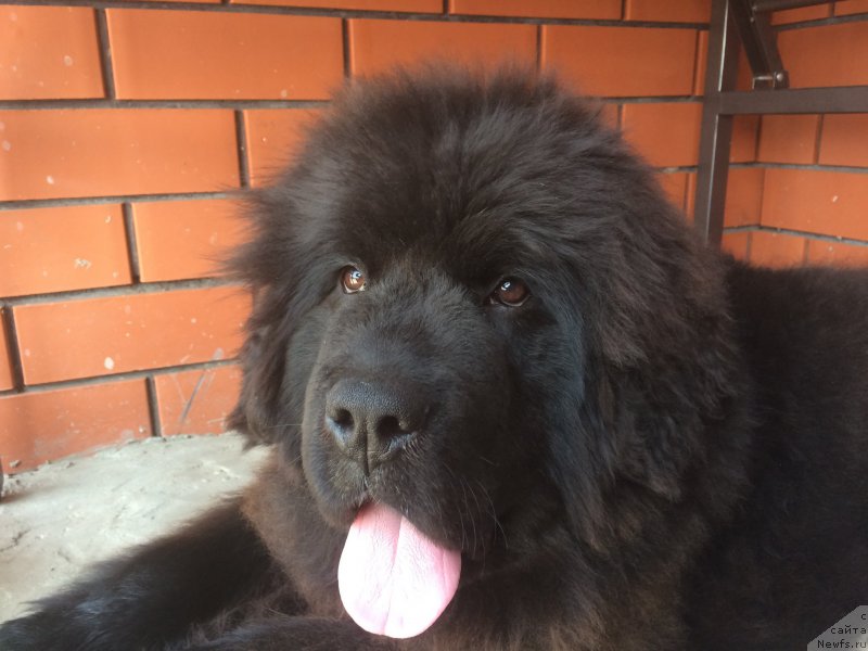 Фотография № 179971