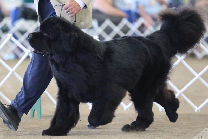 Фотография № 179981