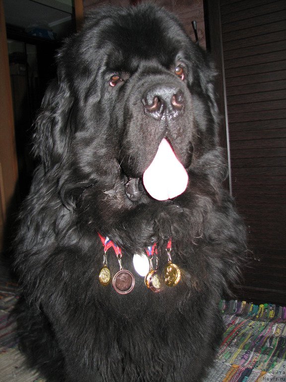 Фотография № 179991