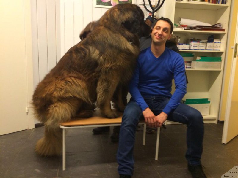 Фотография № 180007