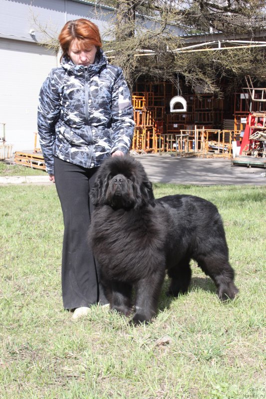 Фотография № 180026