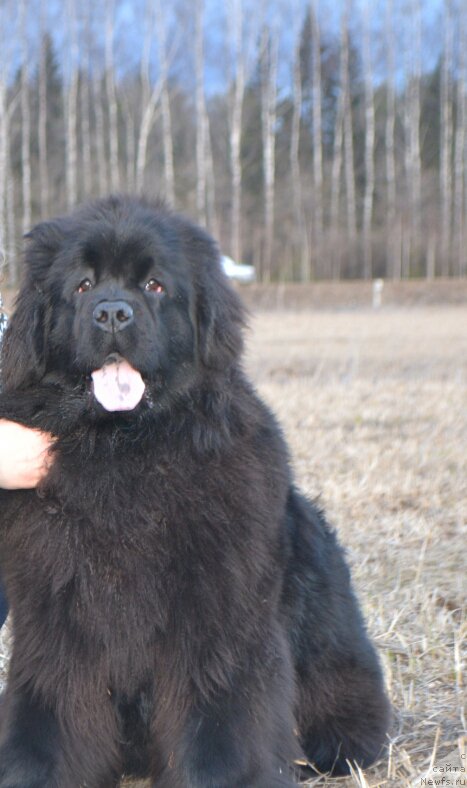 Фотография № 180032