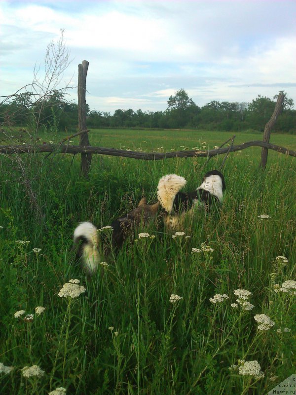 Фотография № 180042