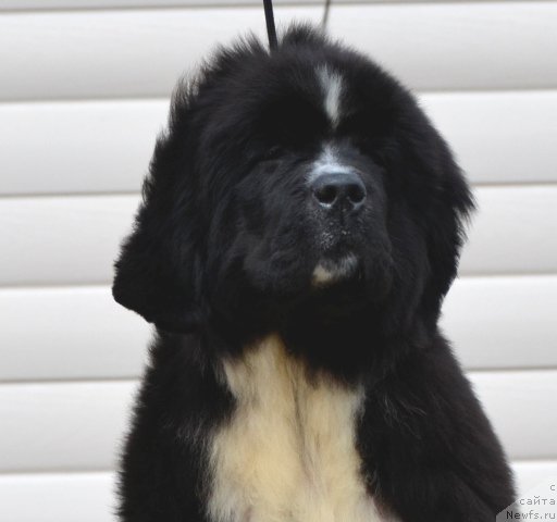 Фотография № 180053