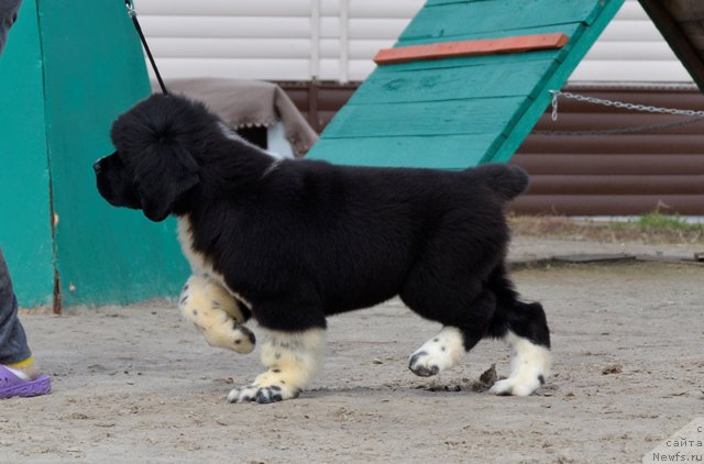 Фотография № 180058