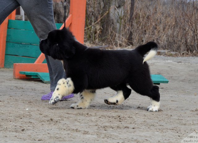 Фотография № 180062